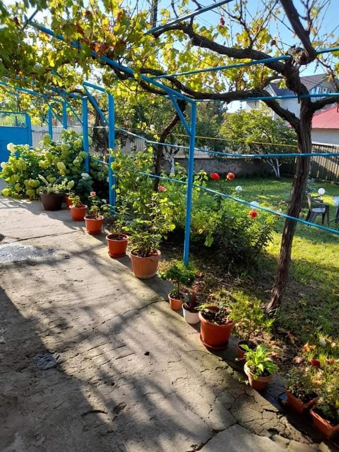 Casa Anhela 호텔 코르부 외부 사진